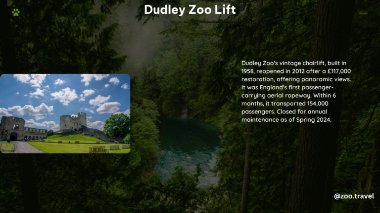 Dudley Zoo Lift