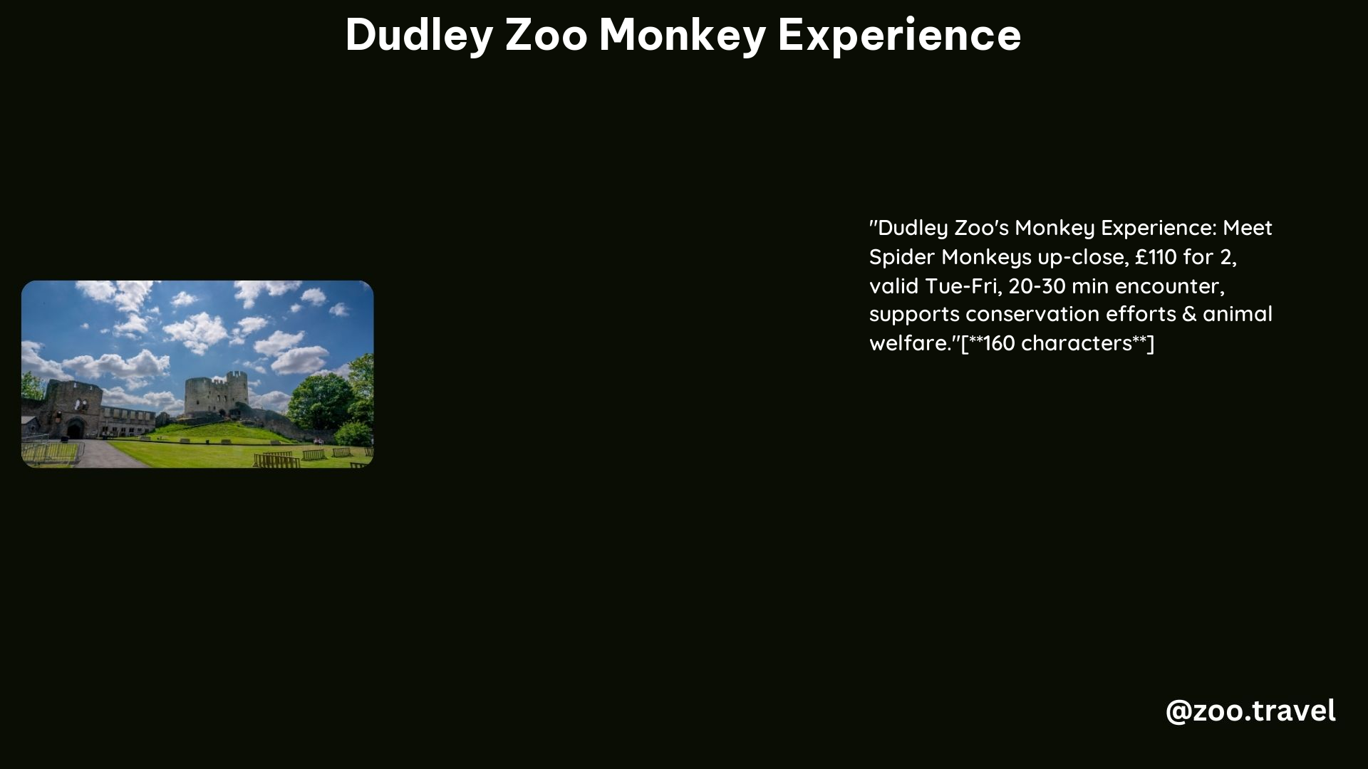 Dudley Zoo Monkey Experience