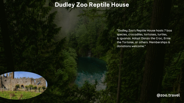 Dudley Zoo Reptile House