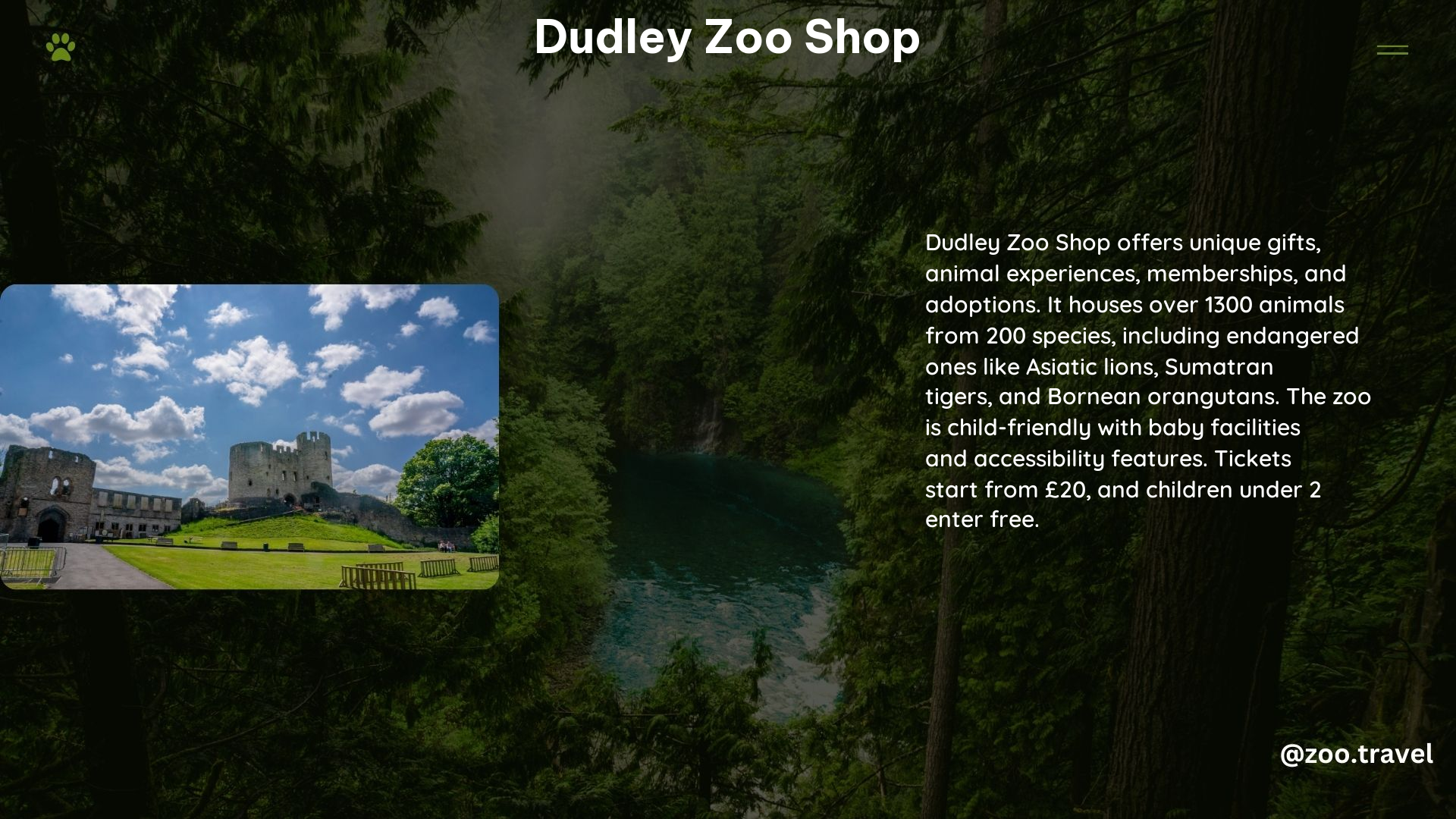 Dudley Zoo Shop