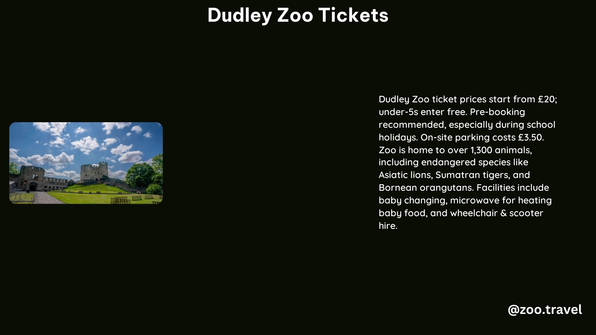 Dudley Zoo Tickets 1