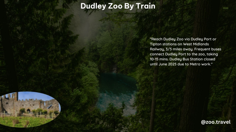 Dudley Zoo by Train