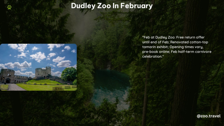 Dudley Zoo in February