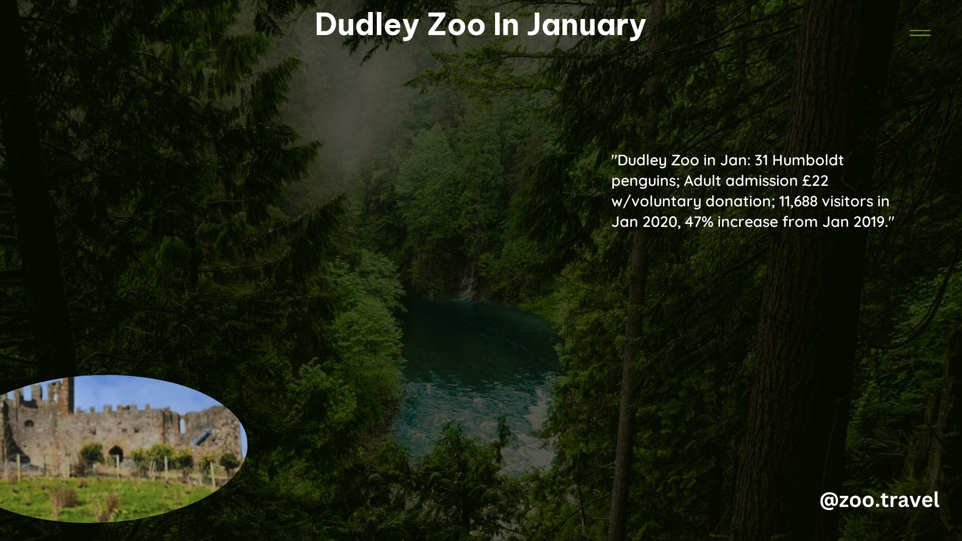 Dudley Zoo in January