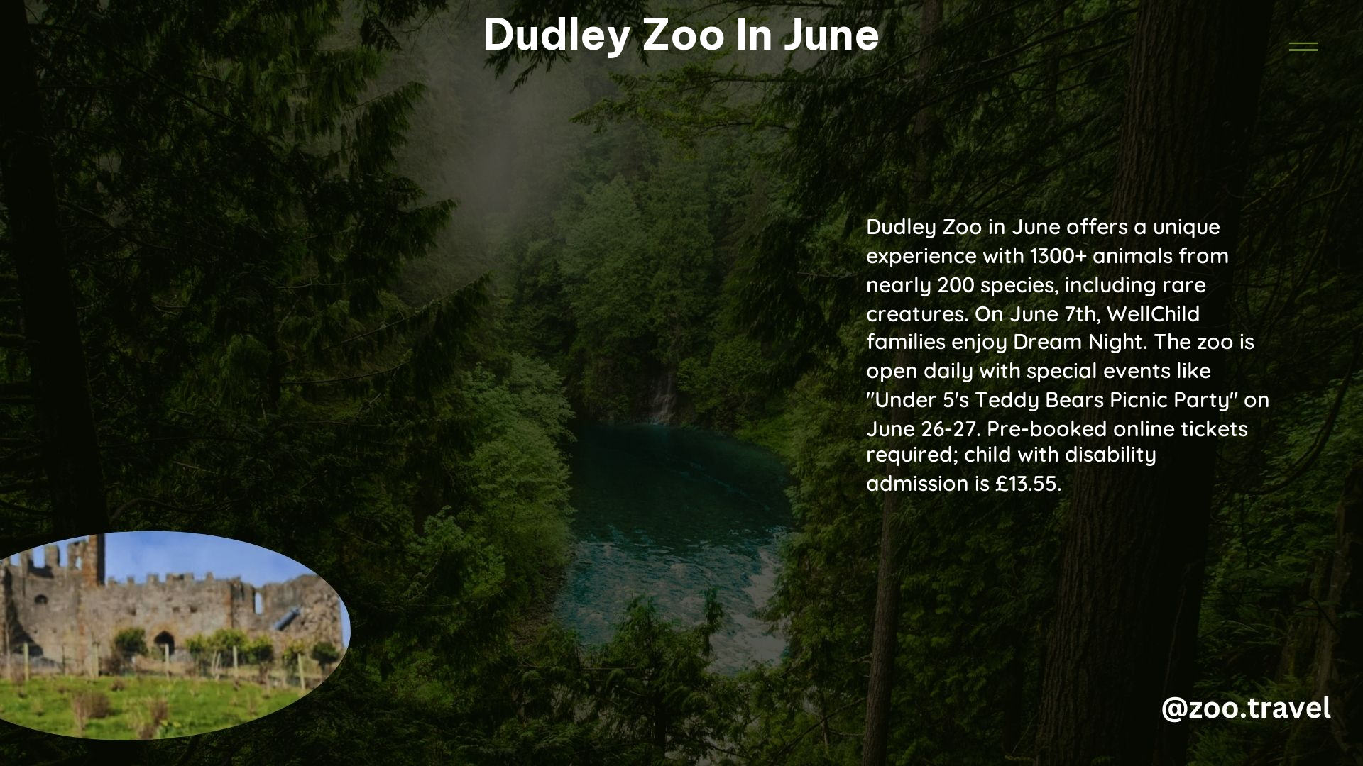 Dudley Zoo in June