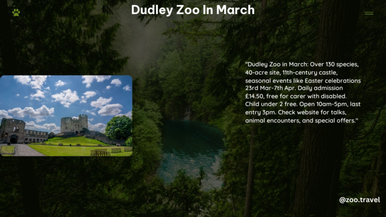 Dudley Zoo in March