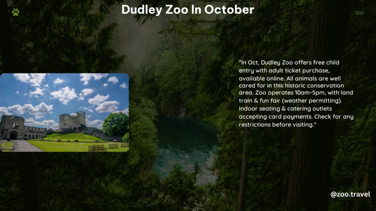 Dudley Zoo in October