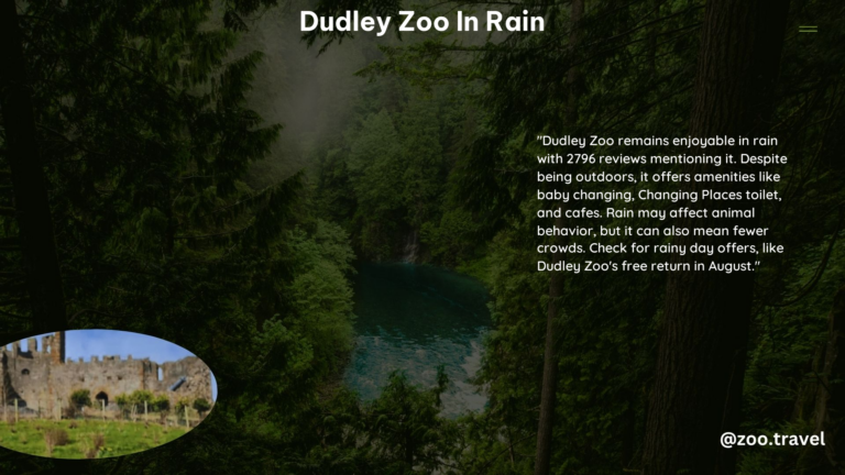 Dudley Zoo in Rain