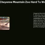 Is Cheyenne Mountain Zoo Hard to Walk