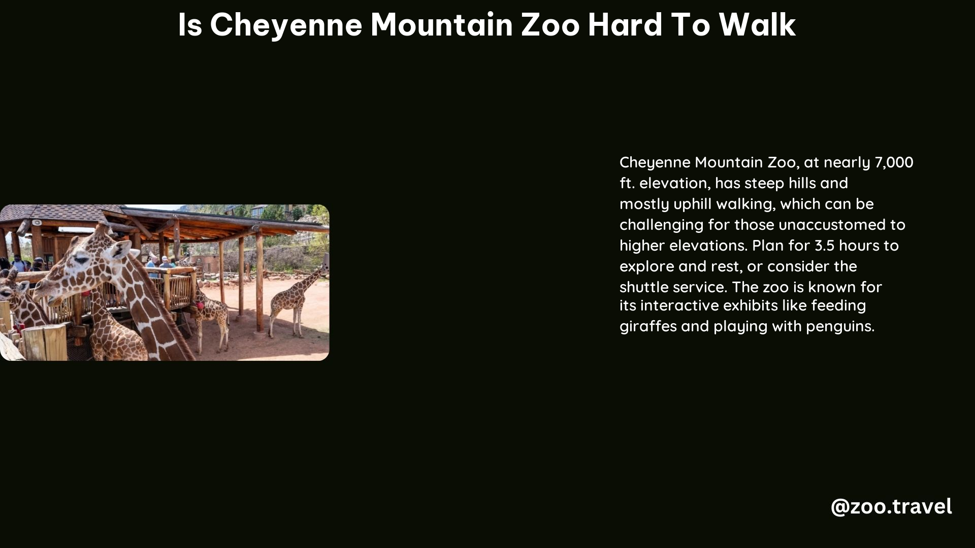 Is Cheyenne Mountain Zoo Hard to Walk