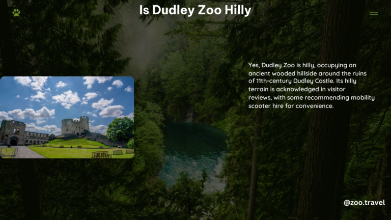 Is Dudley Zoo Hilly