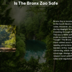 Is the Bronx Zoo Safe