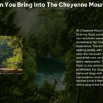 What Can You Bring Into the Cheyenne Mountain Zoo 1