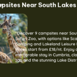 campsites near south lakes zoo