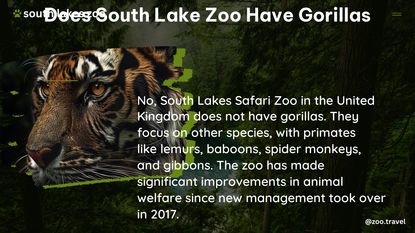 does south lake zoo have gorillas