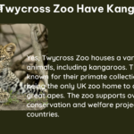 does twycross zoo have kangaroos