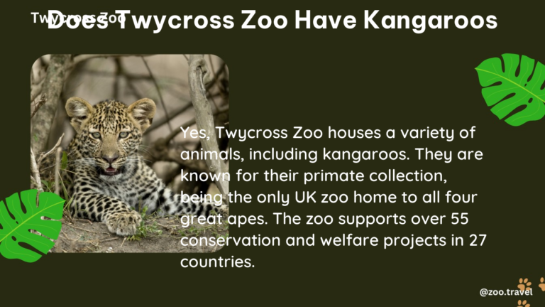 does twycross zoo have kangaroos