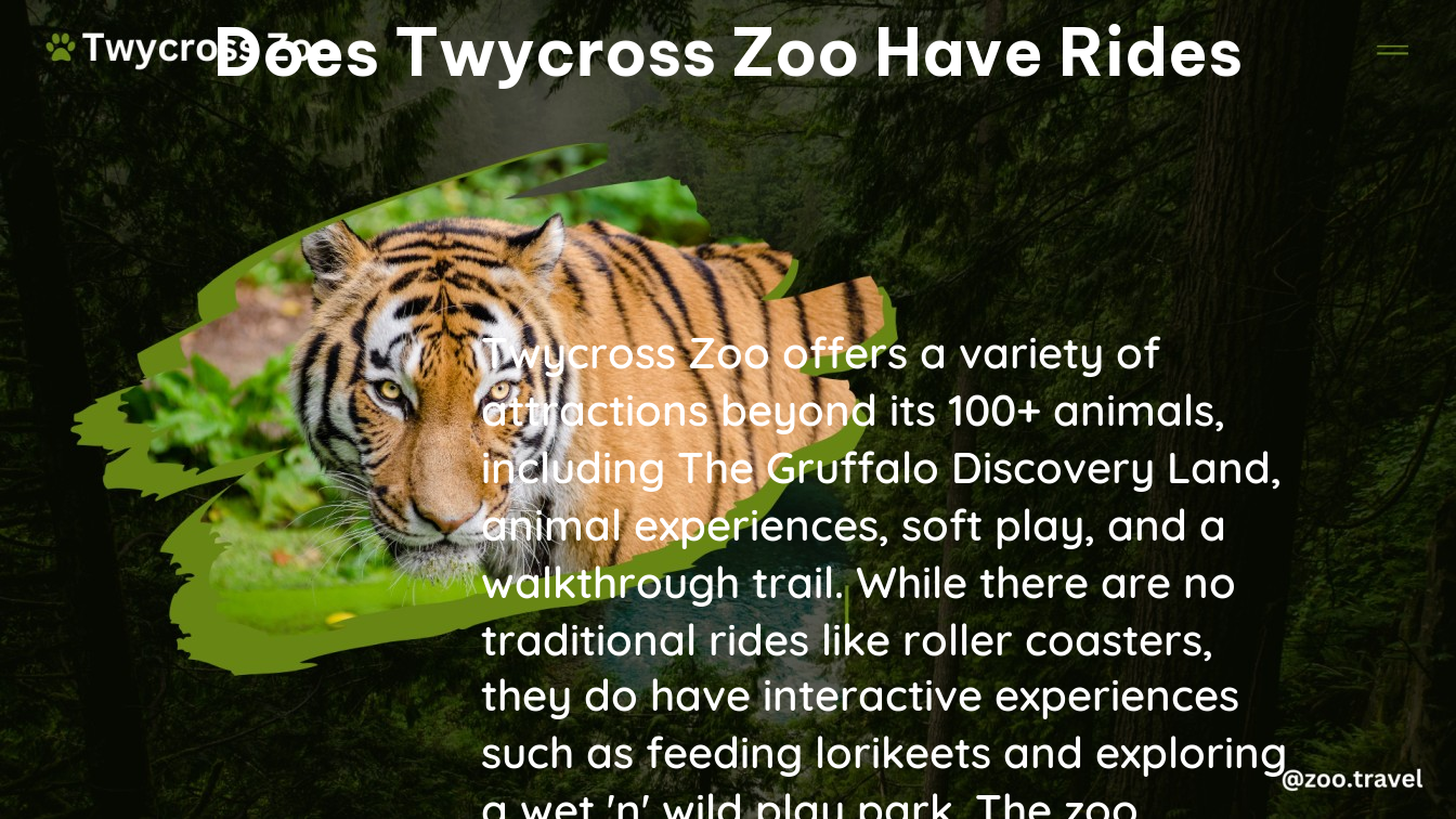 does twycross zoo have rides