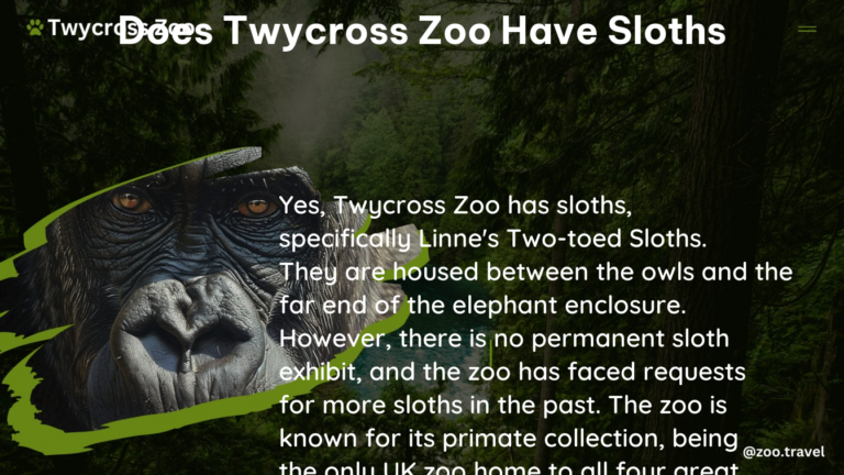 does twycross zoo have sloths
