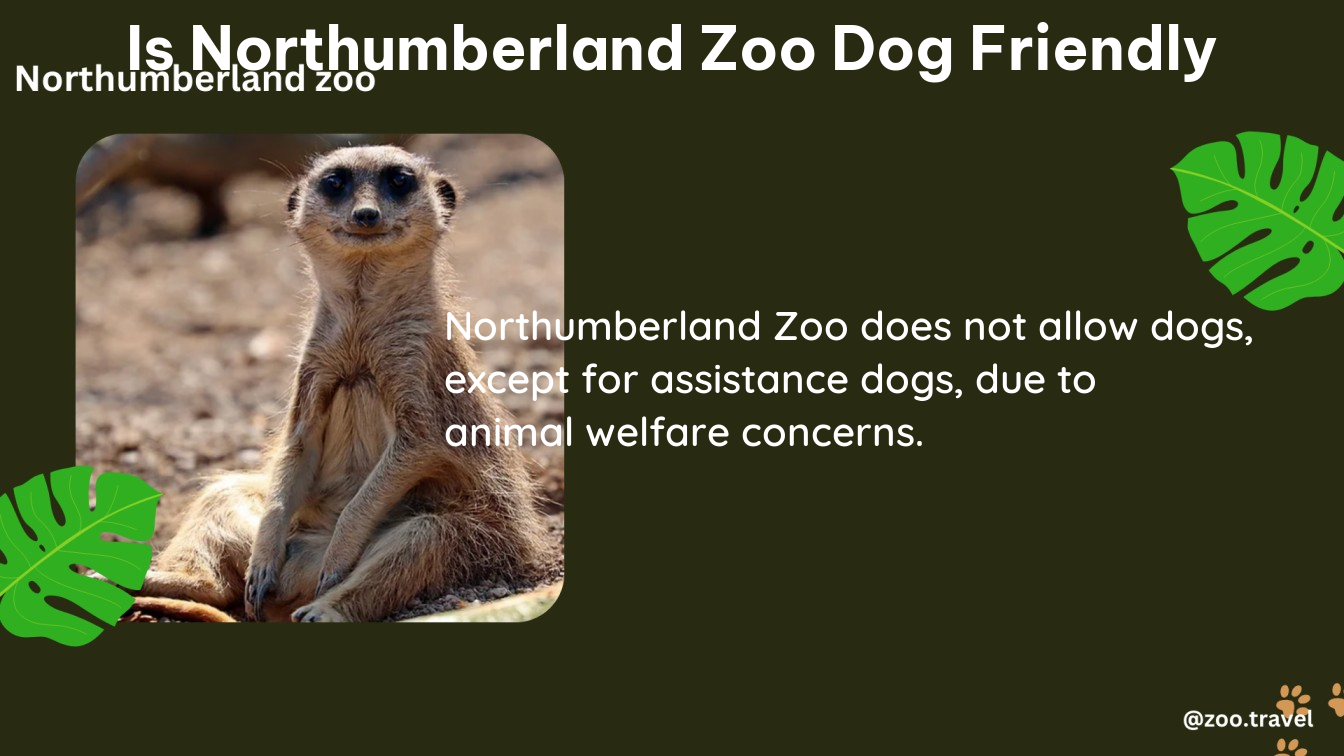 is northumberland zoo dog friendly