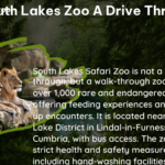 is south lakes zoo a drive through