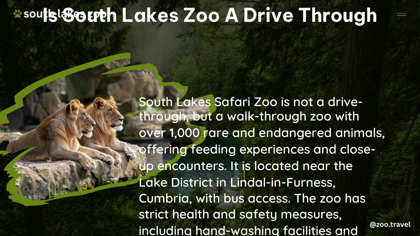 is south lakes zoo a drive through