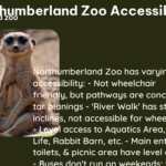 northumberland zoo accessibility