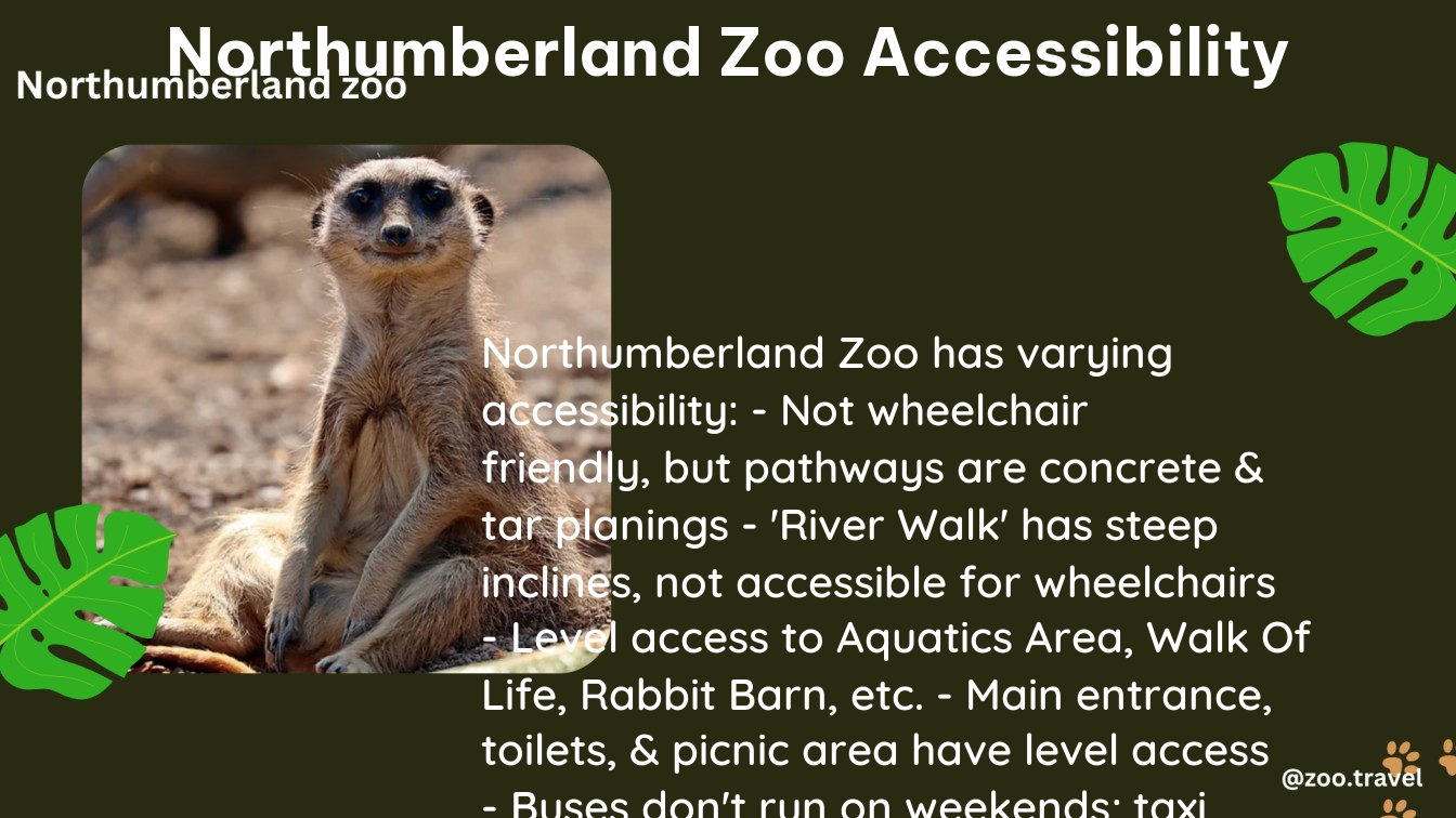 northumberland zoo accessibility