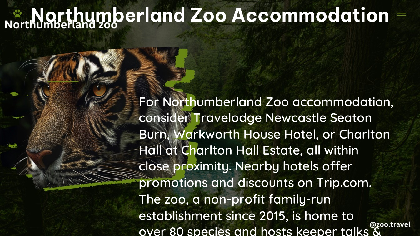 northumberland zoo accommodation