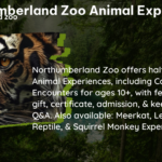 northumberland zoo animal experience