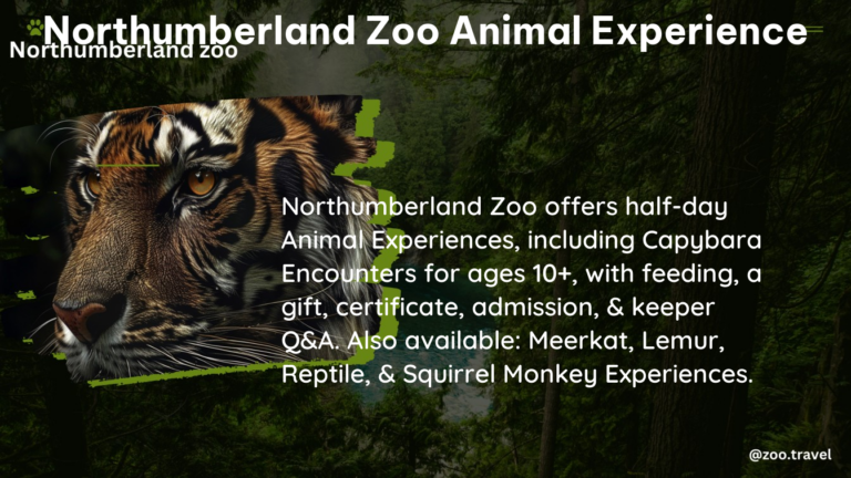 northumberland zoo animal experience