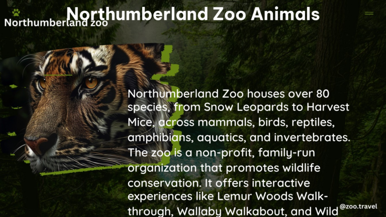 northumberland zoo animals 1