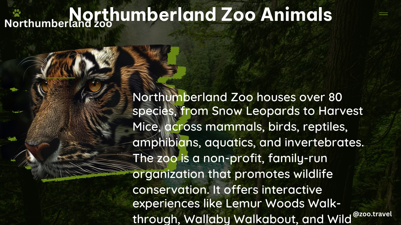 northumberland zoo animals