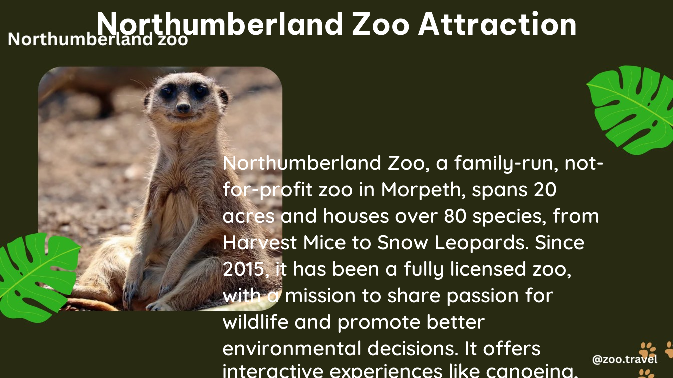 northumberland zoo attraction