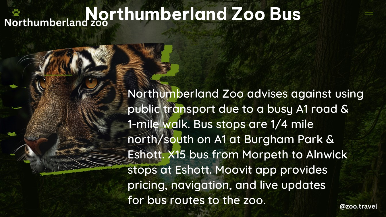 northumberland zoo bus