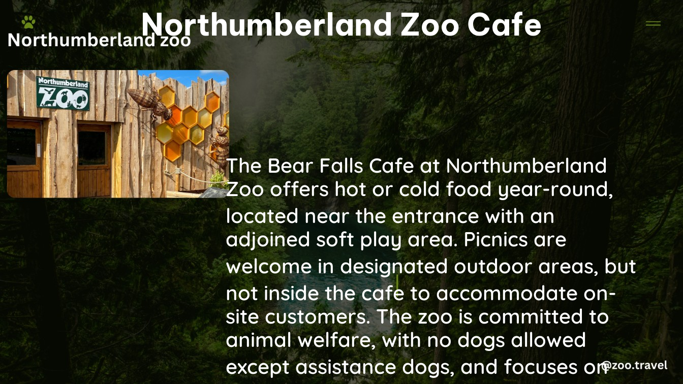 northumberland zoo cafe