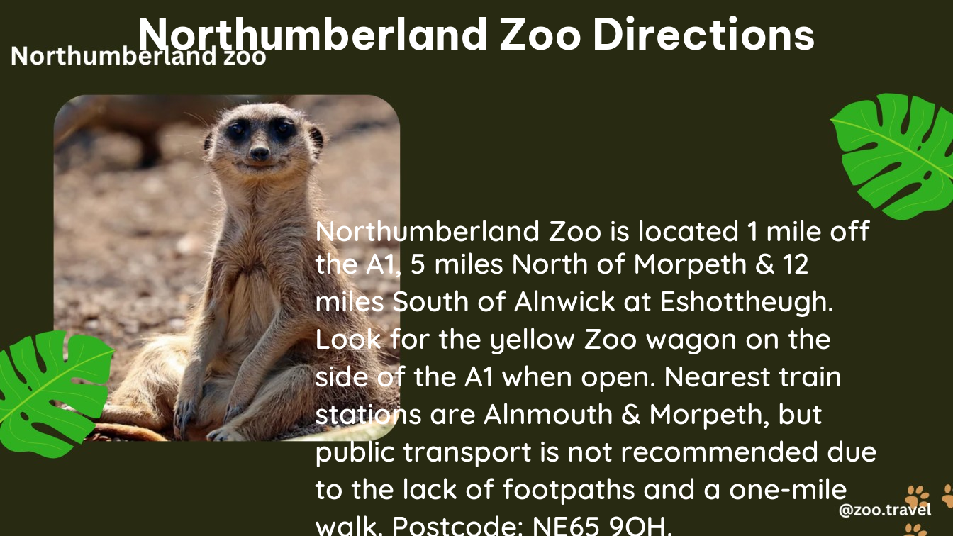 northumberland zoo directions