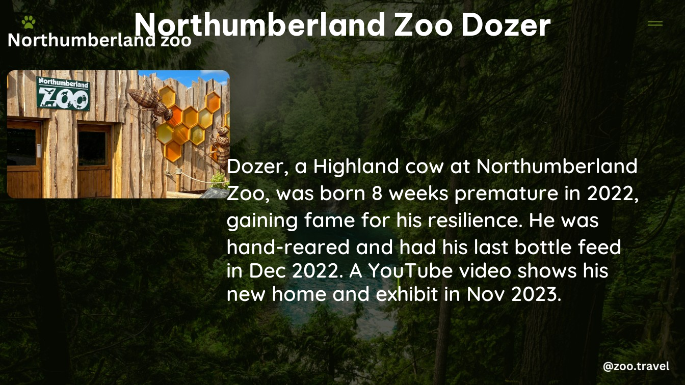 northumberland zoo dozer