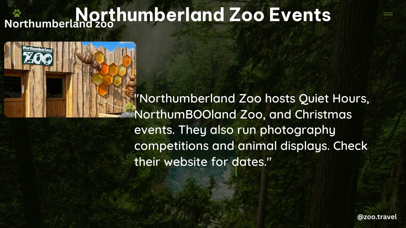 northumberland zoo events