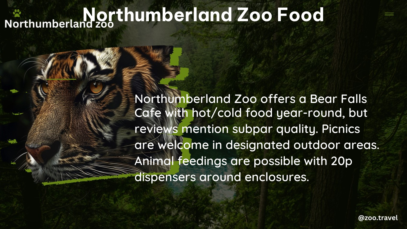 northumberland zoo food