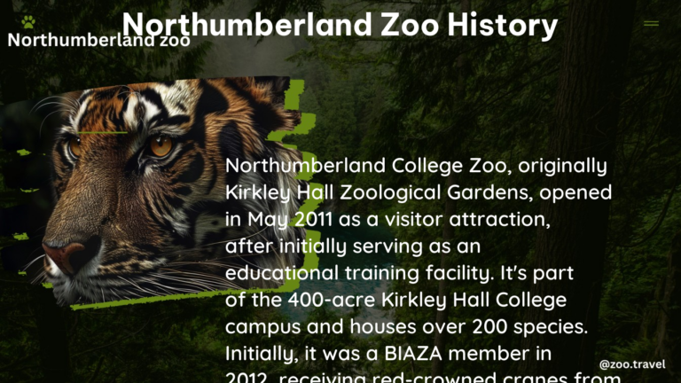 northumberland zoo history