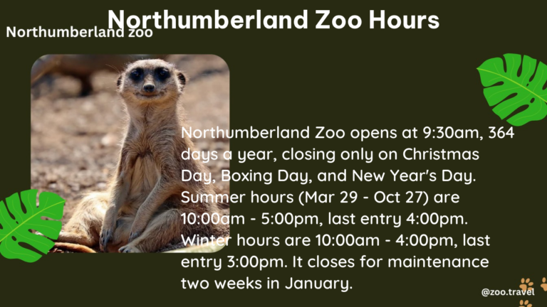 northumberland zoo hours