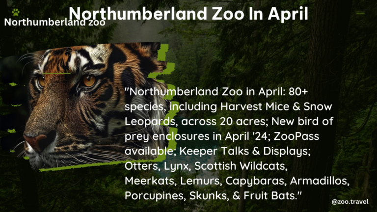 northumberland zoo in April