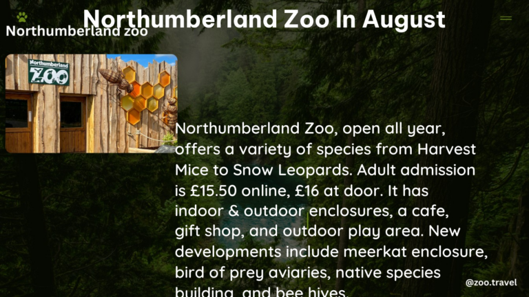 northumberland zoo in August