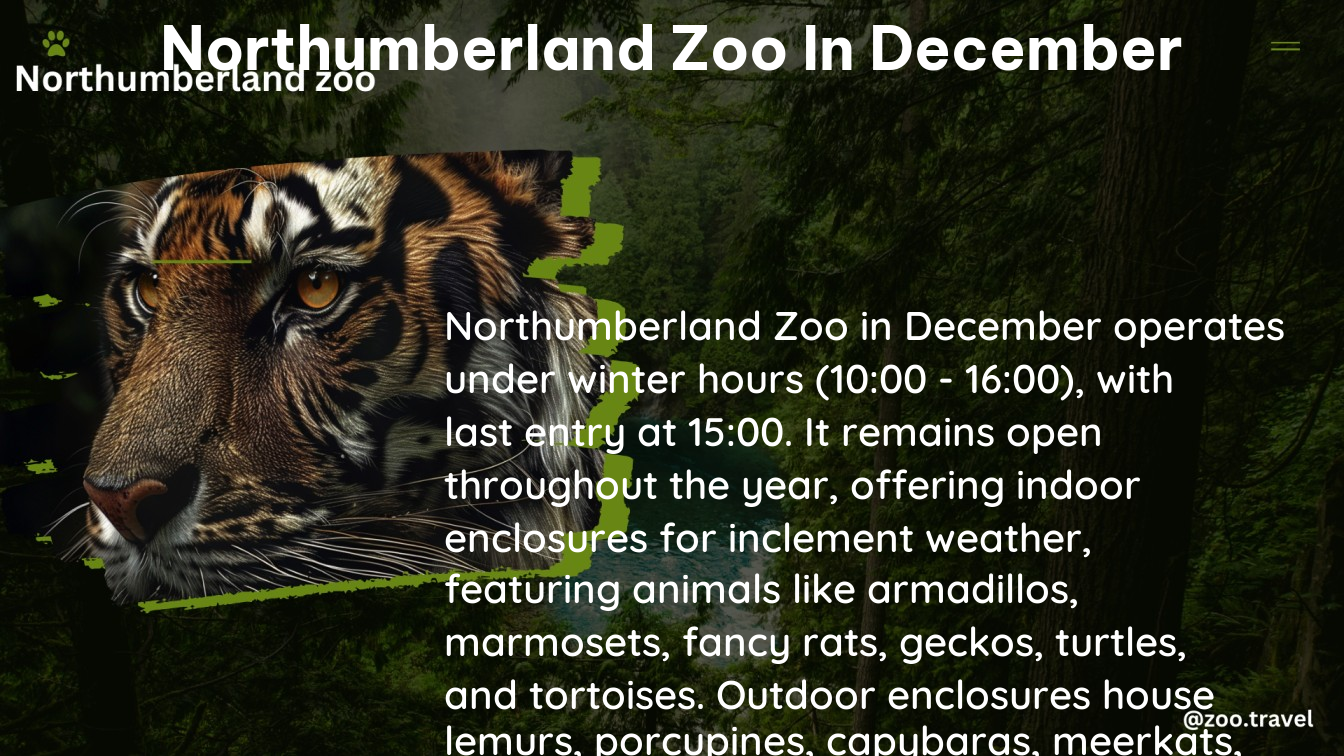 northumberland zoo in December