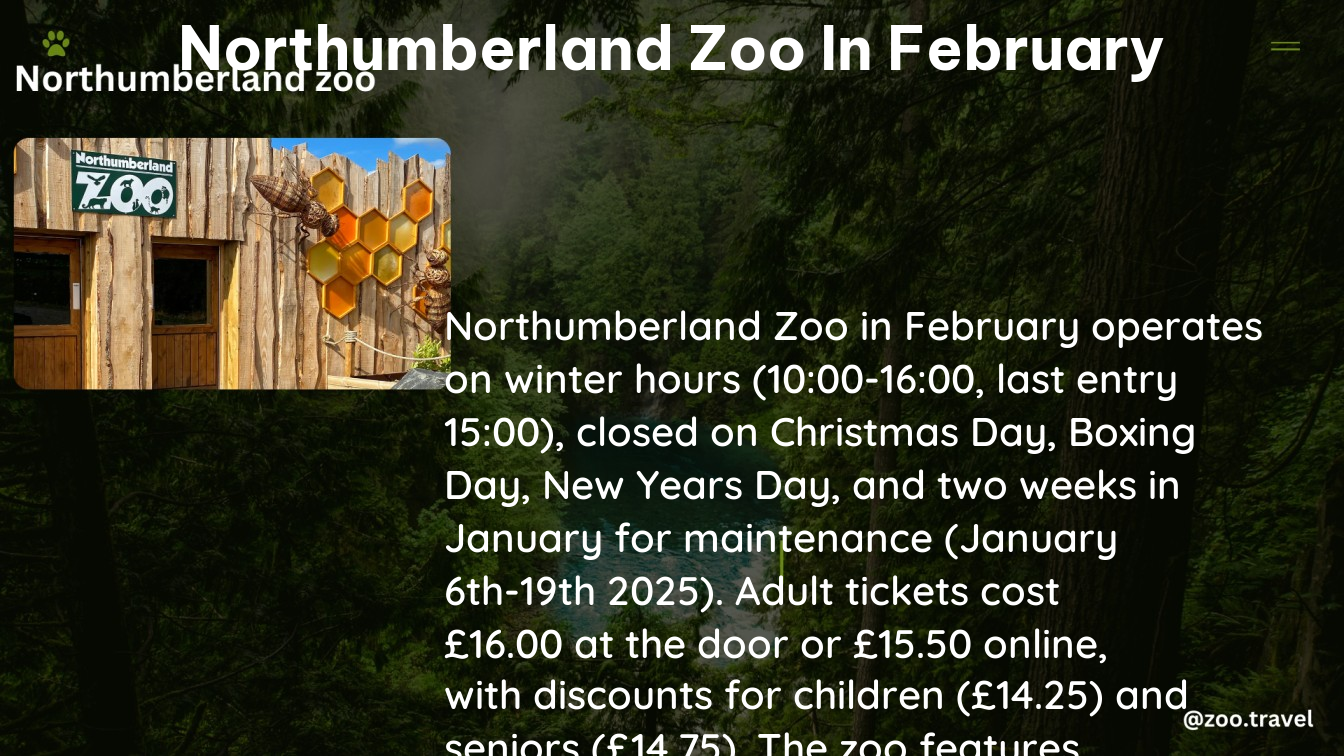 northumberland zoo in February