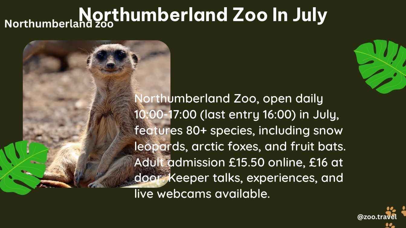 northumberland zoo in July