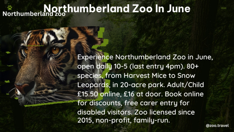 northumberland zoo in June