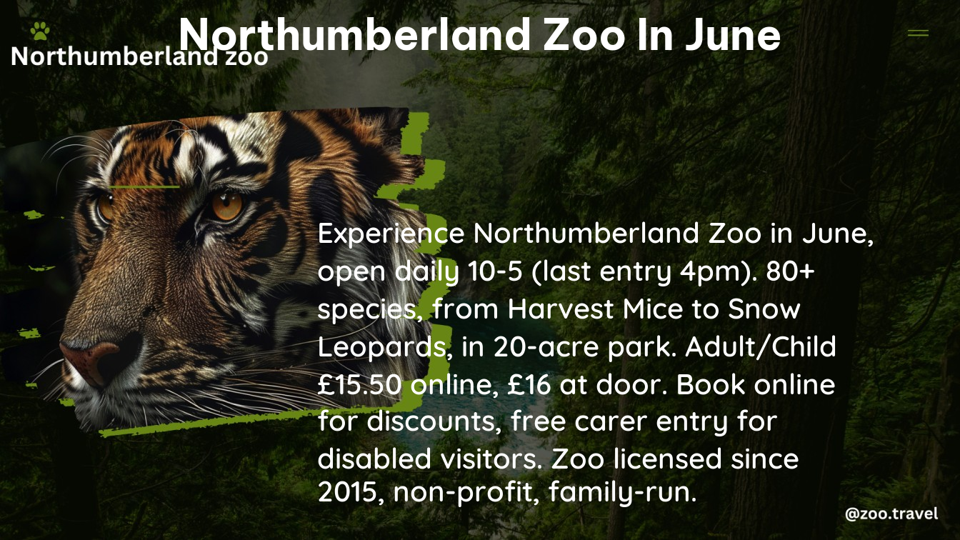 northumberland zoo in June