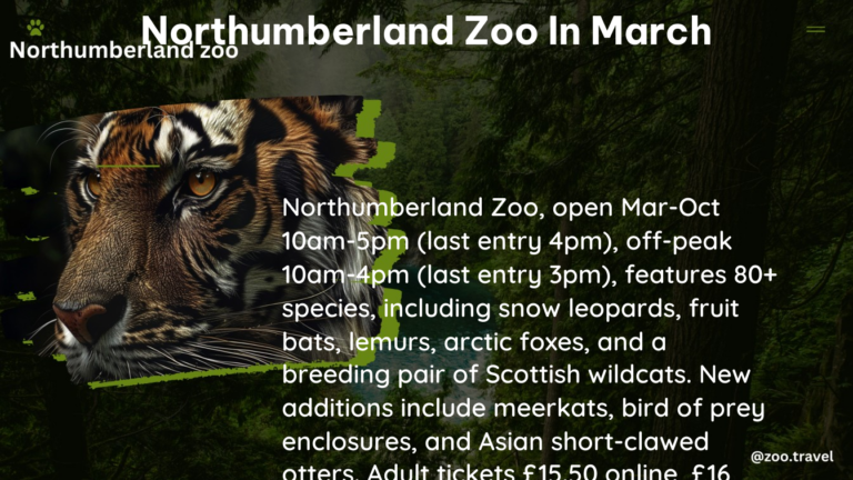 northumberland zoo in March